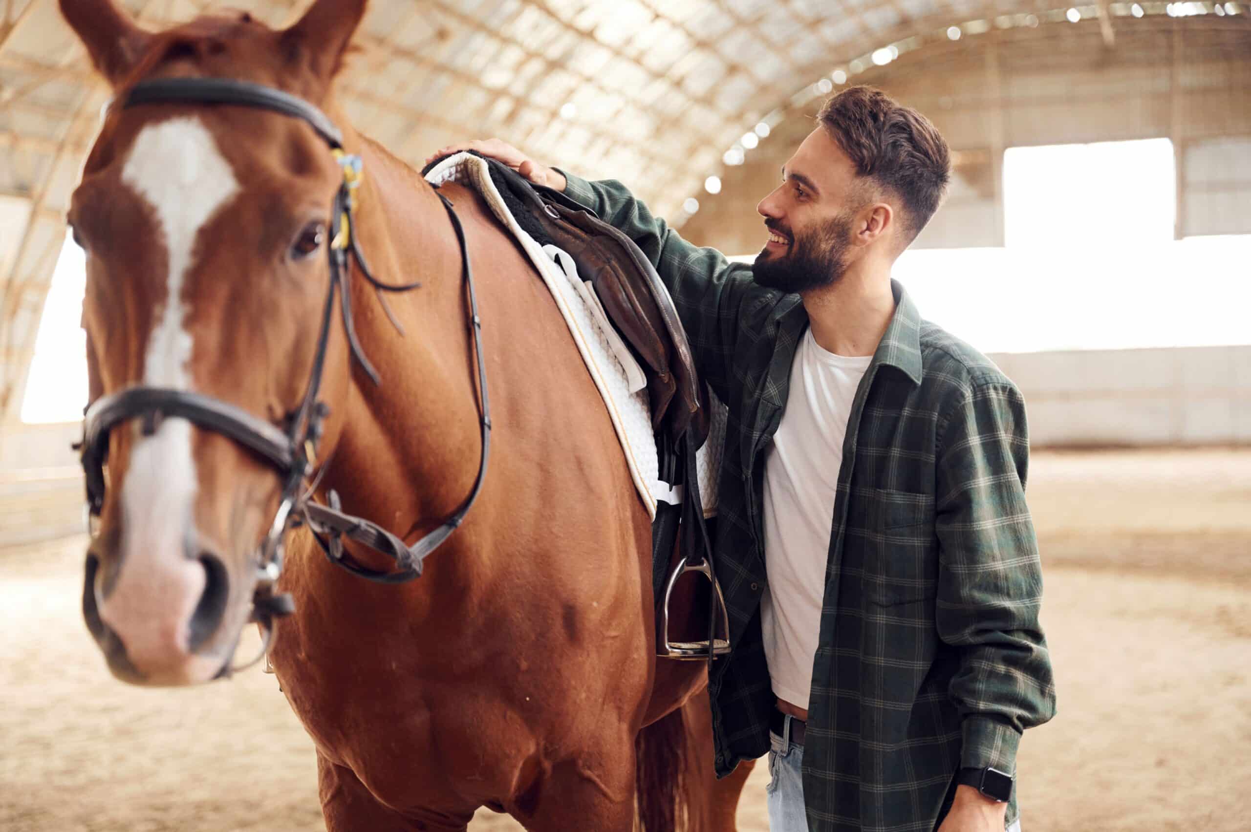 A person stands next to a horse and strokes it
