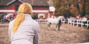 How to Find the Right Buyer for Your Horse: Tips and Strategies