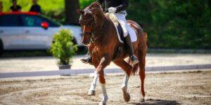 The New Logic Behind Today’s Arena-Based Performance Styles